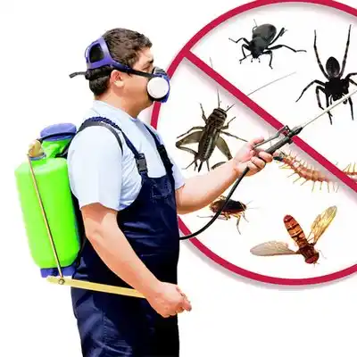 pest control Morgandale